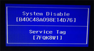 dell bios password generator system disable