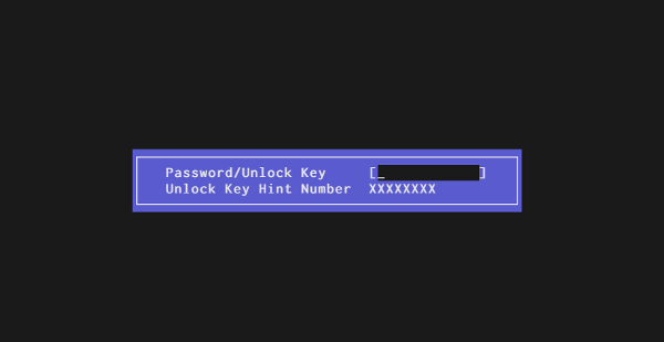 password HINT code screen